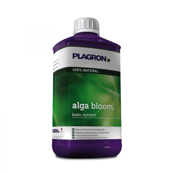 alga-bloom_plagron-1_0