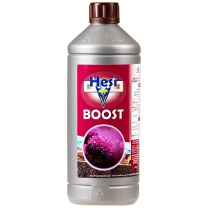 hesi-boost-1l