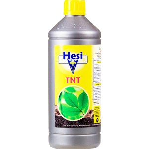 hesi-tnt-1L-pl