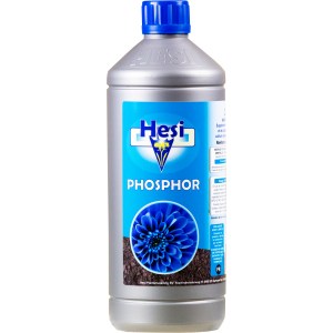 phosphore-hesi1L
